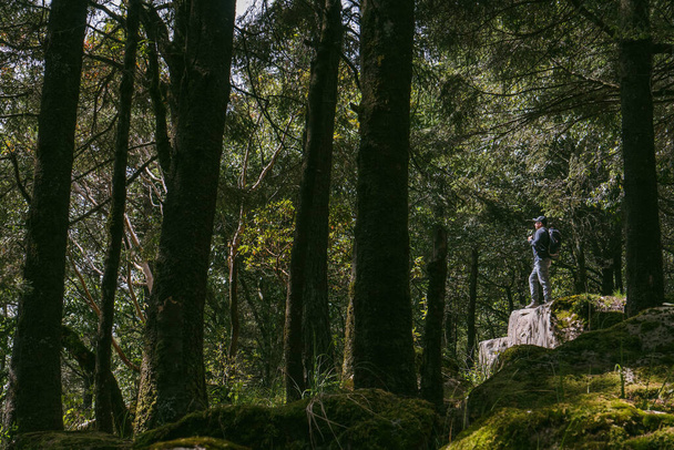 man reiziger met rugzak in het bos - Foto, afbeelding