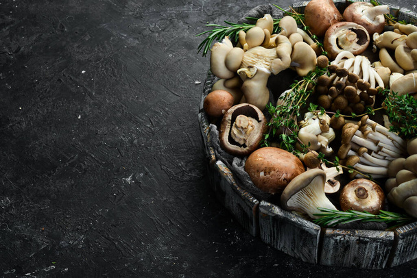Wooden basket with mushrooms. Set of organic mushrooms on a stone background. Top view. - Zdjęcie, obraz