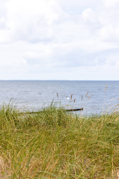 Widok na wydmy na Morze Bałtyckie w małym nadmorskim kurorcie Zempin w lecie - Zdjęcie, obraz