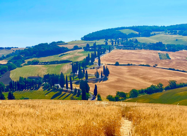 Toscanan kuuluisat mutkaiset tiet - Valokuva, kuva