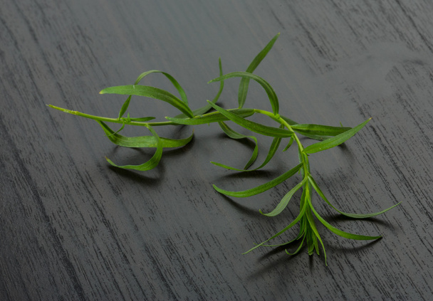 Tarragon leaves - Фото, изображение