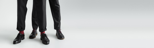 Cropped view of gay couple in formal wear and shoes on grey background, banner  - Valokuva, kuva