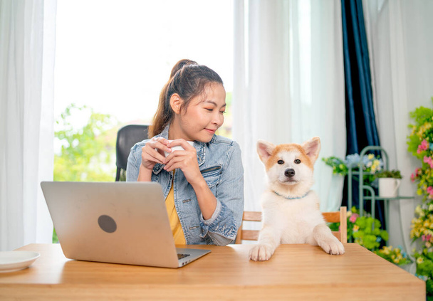 El perro sentarse y poner su pierna en la mesa también permanecer al lado de la mujer asiática bonita usando tableta y también mirar a su mascota con felicidad. El perro también mira la cámara. - Foto, imagen
