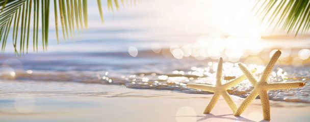 Abstraktní pozadí léto slunné tropické písečné pláže  - Fotografie, Obrázek