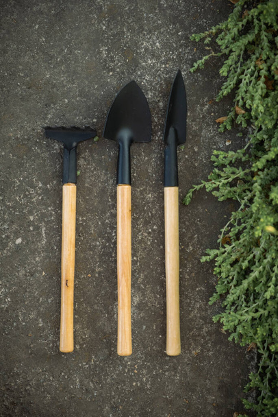 Gardening tools and utensils on concrete background with green grass. Top view. Hobby concept - Фото, зображення