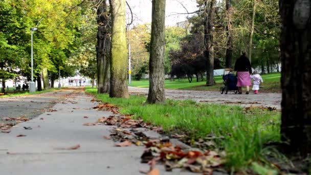 Herfst park (bos - bomen) - gevallen bladeren - grass - mensen in achtergrond (vrienden en familie) - Video