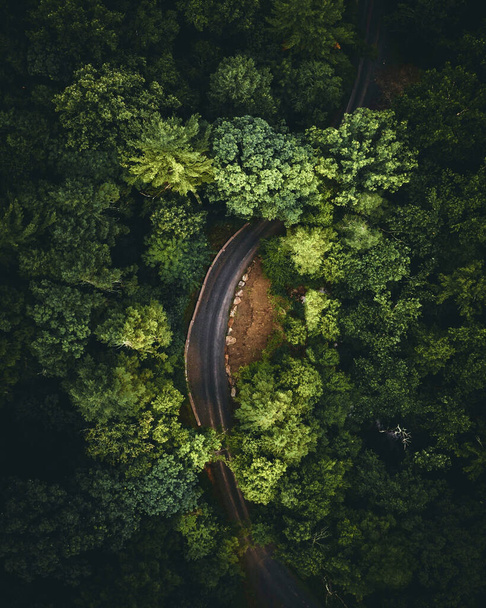 A vertical aerial shot of an empty highway surrounded with evergreen trees - Φωτογραφία, εικόνα