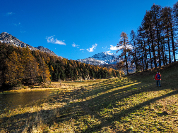 Paysage de montagne d'automne près de Saint Moritz
 - Photo, image