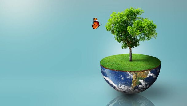 Növény nő a fél gömb a Föld bolygó zöld fű és pillangó. Ökológia, Környezetvédelem Világnapja, Föld Világnapja és a környezet megmentése koncepció. A képet a NASA bocsátotta rendelkezésre. - Fotó, kép