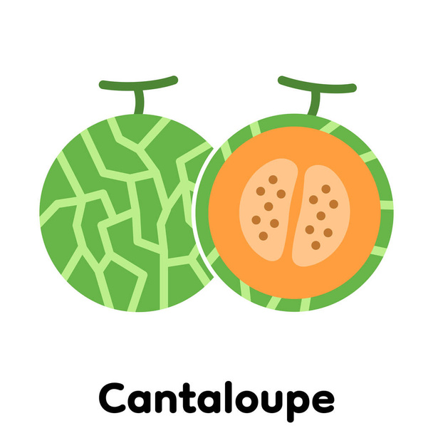 Cantaloupe icon, Vector, Illustration . - Вектор, зображення