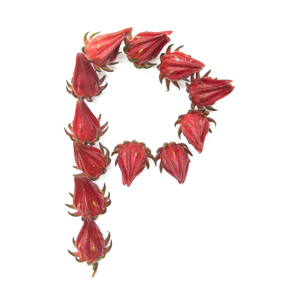 Buchstabe P Design von Roselle Frucht auf weißem Hintergrund, Buchstabe P Design von Frucht, Buchstabendesign. - Foto, Bild