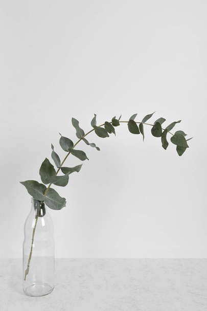 leaf branch vase table 1. High resolution photo - Φωτογραφία, εικόνα