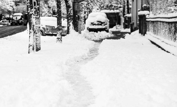 朝の雪の中を歩く人が作った道。大雪の中を進む。冬のコンセプト｜雪の道in朝の光 - 写真・画像