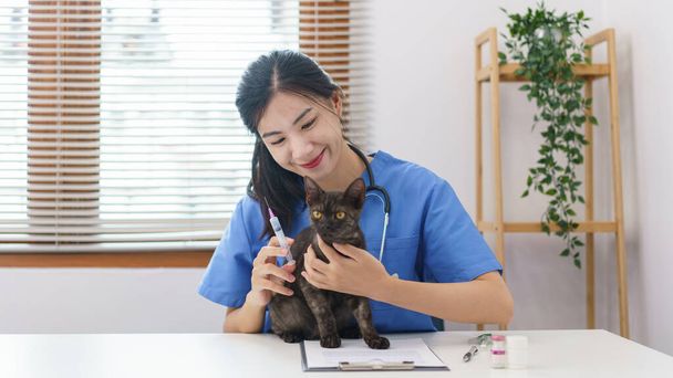 Έννοια φροντίδας κατοικίδιων ζώων, θηλυκό κτηνιατρικό προετοιμάσει εμβολιασμούς για την ένεση της γάτας σε κλινική κτηνίατρο. - Φωτογραφία, εικόνα