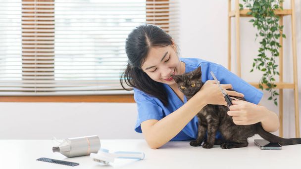 Концепція салону для домашніх тварин, Жіночий ветеринарний обіймаючий кіт після використання ножиць для обрізання хутра кота в салоні
. - Фото, зображення