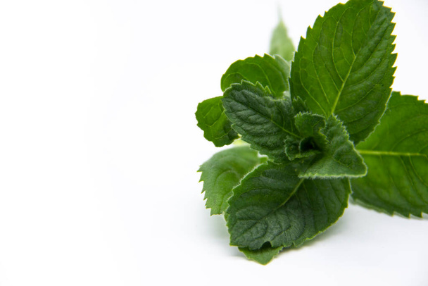 A mint leaves isolated on white background. Fresh mint leaves. - Foto, afbeelding