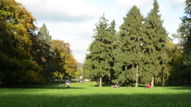 Őszi park (erdő - fák) - emberek relax - fű - gyerekek játszanak - Felvétel, videó