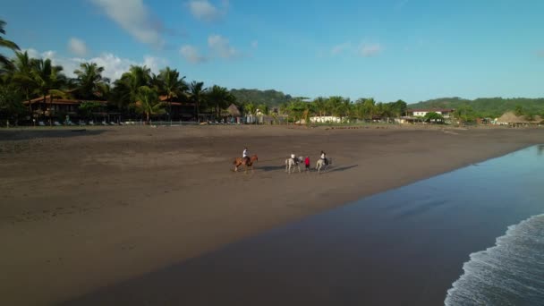 AERIAL: Familia en una aventura a caballo en la pintoresca playa de Playa Veano. Visita guiada a caballo en destino turístico exótico en Panamá. Vacaciones activas para familias viajeras. - Imágenes, Vídeo