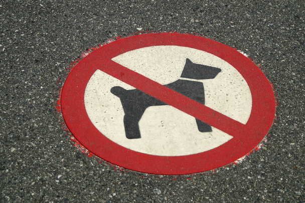 Dit gebied is verboden voor honden. Dat is geschilderd op het asfalt. - Foto, afbeelding