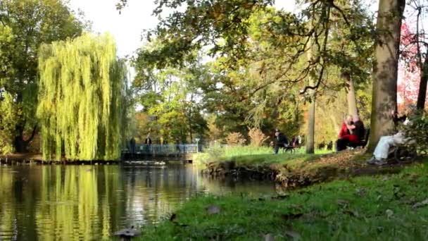 Herfst park (bomen) - mensen ontspannen - lake met eenden - familie en vrienden op Bank - brug - Video