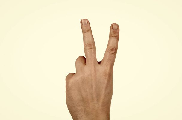 hand showing peace gesture isolated on white background, victory sign. - Photo, Image