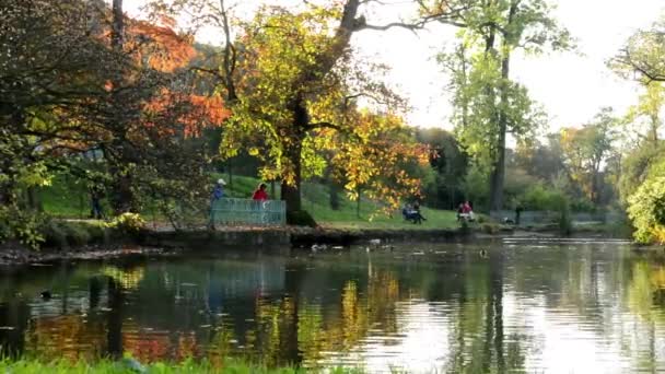 Herfst park (bomen) - mensen ontspannen - lake met eenden - familie en vrienden op achtergrond - Bank - Video