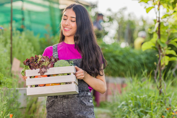 udržitelné prostředí pěstování rostlin zahradník žena. dobrovolnictví životní styl jaro a letní sezóna - Fotografie, Obrázek