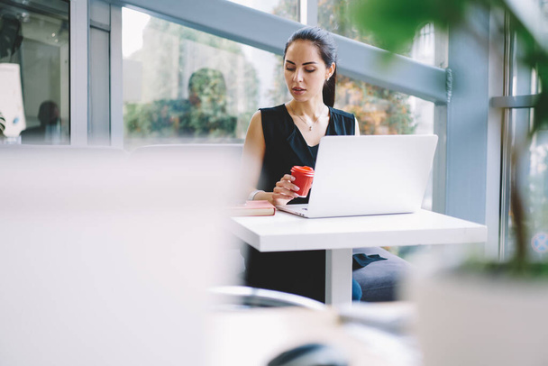 Concentrated young female freelancer in casual outfit looking down sitting at table with paper cup of hot drink and laptop while working - Fotó, kép