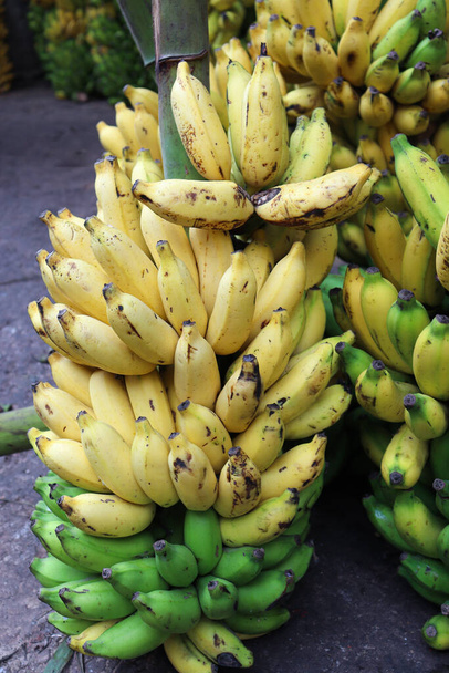 tasty and healthy ripe banana bunch stock on shop for sell - Foto, Imagem