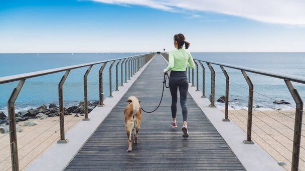 Back view of unrecognizable sportive female in activewear jogging with dog along empty bridge near sea in summer sunny day - Foto, imagen