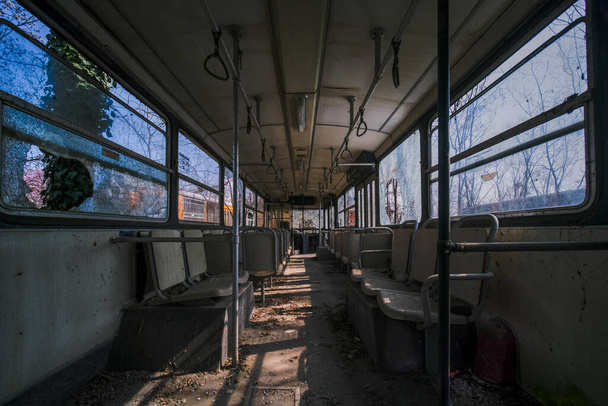 заброшенный интерьер школьного автобуса с ветвями листьев растительности. Высокое качество фото - Фото, изображение