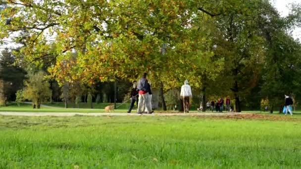 Autumn park (trees) - people walking - fallen leaves - grass - Footage, Video
