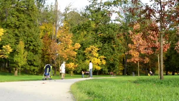 Park jesień (drzewa) - ludzie chodzą (rodzina) - opadłych liści - ława - Materiał filmowy, wideo