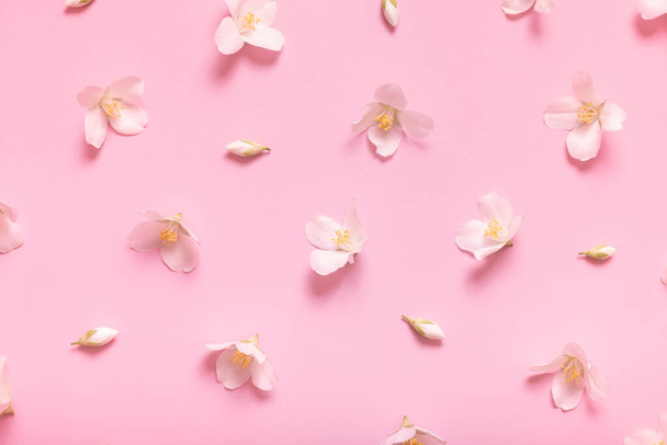 Μοτίβο με λουλούδια γιασεμί σε παστέλ ροζ φόντο, lay flat, η κορυφαία άποψη. - Φωτογραφία, εικόνα