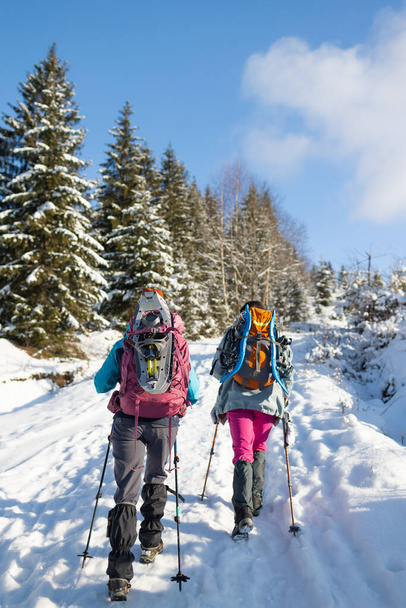 Duas mulheres caminham com sapatos de neve nas mochilas, trekking de inverno, duas pessoas nas montanhas no inverno, equipamento de caminhadas - Foto, Imagem