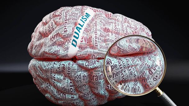 Дуализм в человеческом мозге, концепция, показывающая сотни ключевых слов, связанных с дуализмом, проецируемая на кортекс, чтобы полностью продемонстрировать широкие масштабы этого состояния, 3D иллюстрация - Фото, изображение