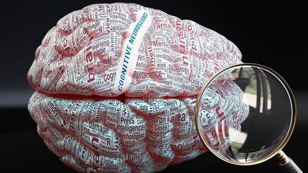 Neurologia poznawcza w ludzkim mózgu, setki pojęć związanych z neurologią poznawczą projektowane na korę mózgową, aby pokazać szeroki zakres tej choroby, ilustracja 3D - Zdjęcie, obraz
