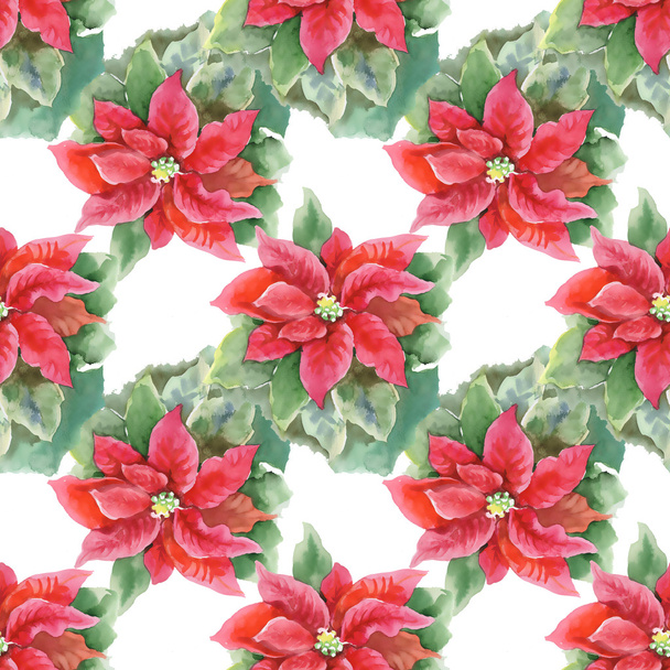 Red Poinsettia seamless pattern - 写真・画像