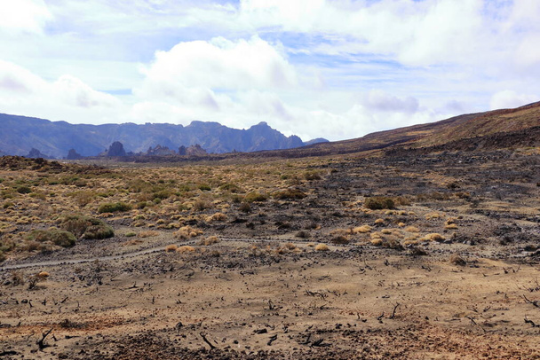 テネリフェ島のテイデ国立公園、溶岩原とテイデ火山 - 写真・画像