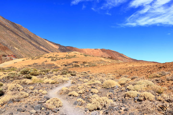 Tenerife adasındaki Teide Ulusal Parkı, lav tarlaları ve Teide volkanı - Fotoğraf, Görsel