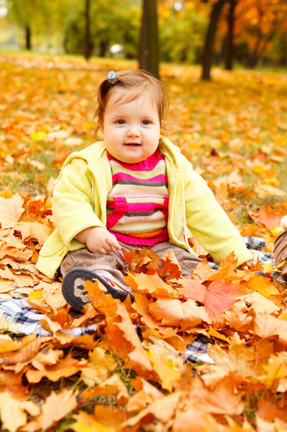 Toddler in golden leaves - Foto, Bild