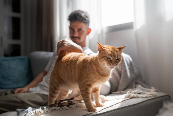 joven acostado en un sofá interactúa con un gato marrón tabby - Foto, Imagen