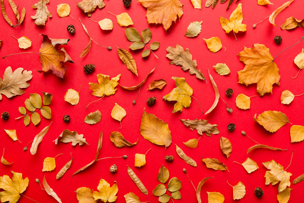 Sonbahar kompozisyonu. Masadaki kurumuş yapraklar ve diğer tasarım aksesuarlarından oluşan desen. Düz yatış, üst görünüm. - Fotoğraf, Görsel