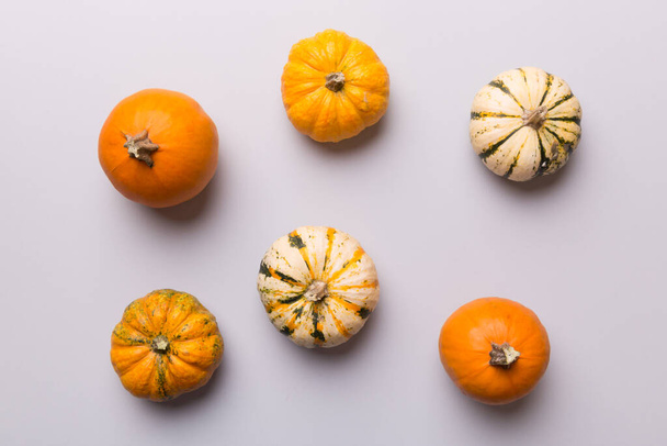 Podzimní složení malých oranžových dýní na barevném podkladu stolu. Koncept podzimu, Halloweenu a Díkůvzdání. Podzimní byt ležel fotografie. Místo pro kopírování horního pohledu. - Fotografie, Obrázek