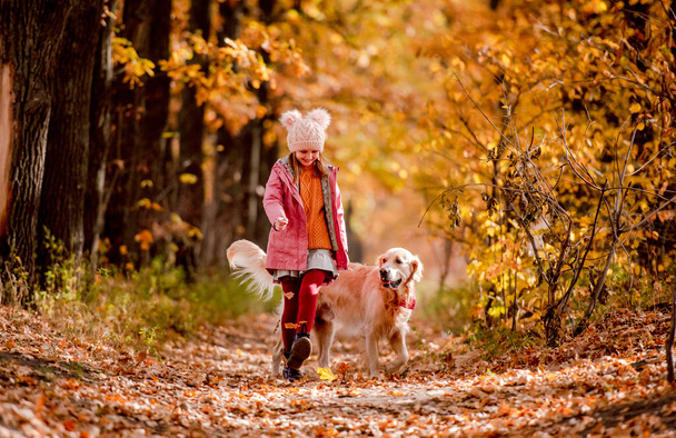 Preteen girl kid with golden retriever dog at autumn park with trees with yellow leaves. Beautiful portrait of child and pet outdoors at nature - Photo, image