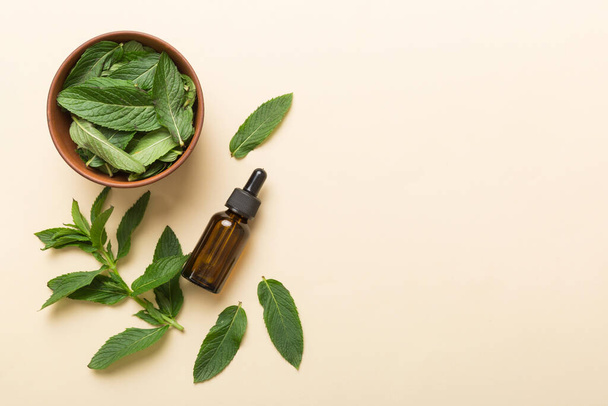Natural Mint Essential Oil in a Glass Bottle. organic cosmetics with herbal extracts of mint on colored background. - Fotoğraf, Görsel