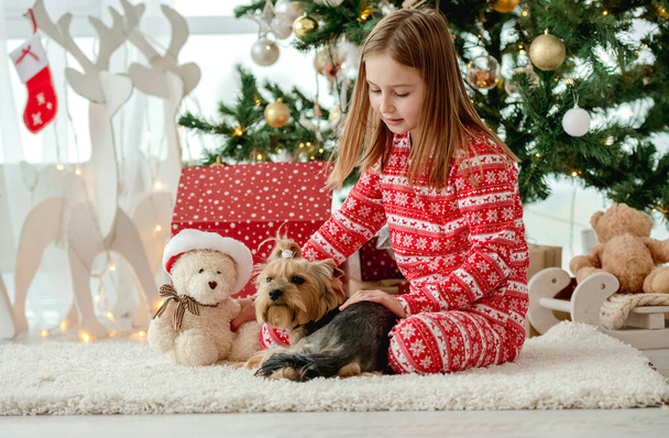 Child girl sitting with dog and gifts near Christmas tree. Cute kid with doggy pet terrier in New Year morning - Zdjęcie, obraz