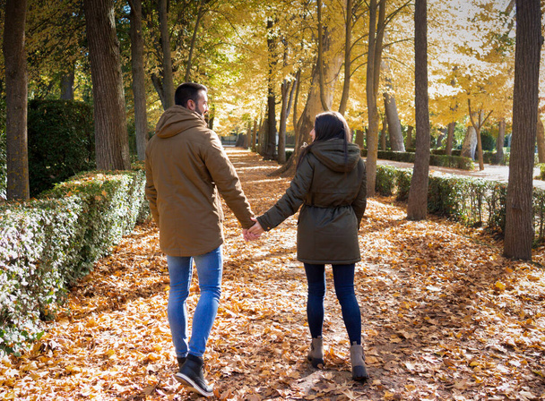 Couple holding hands while walking on autumn leaves. - Φωτογραφία, εικόνα