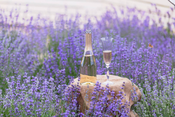 Egy pohár pezsgő egy levendulamezőn. Violet virágok a háttérben - Fotó, kép