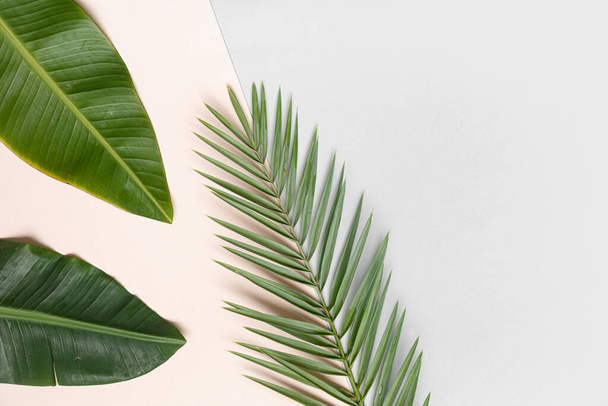 Top view tropical leaves on vibrant background. Flat lay summer composition. - Fotoğraf, Görsel
